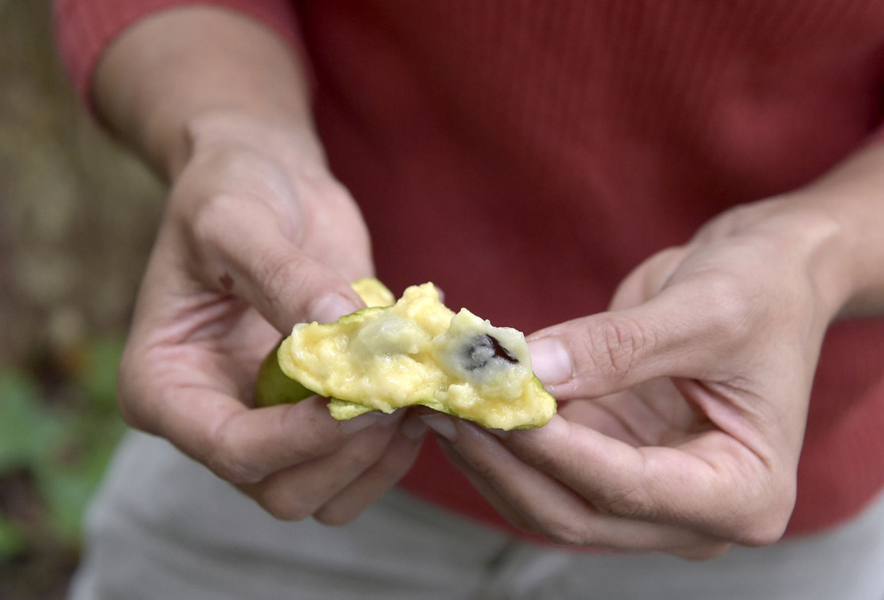 paw paws10.jpg